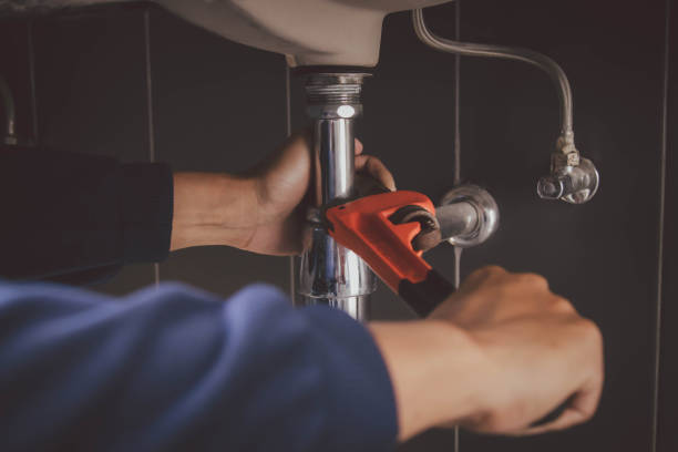 Best Residential Plumbing Services  in Clio, MI