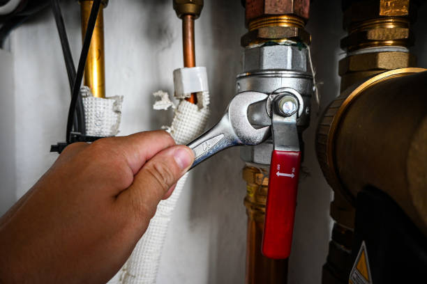 Best Same-Day Plumbing Service  in Clio, MI